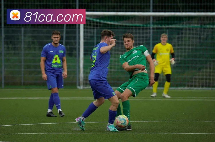 App 示例图